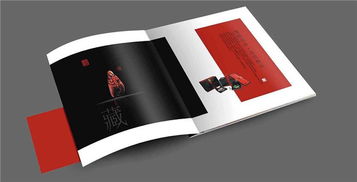 政府定點印刷服務與軟件開發創新——以思博雅匯為例