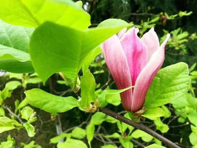 生意的本質(zhì) 生生不息，心上之意